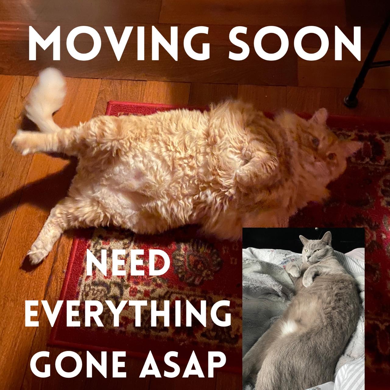 Hellooooo the time has come I am moving, so not... Depop