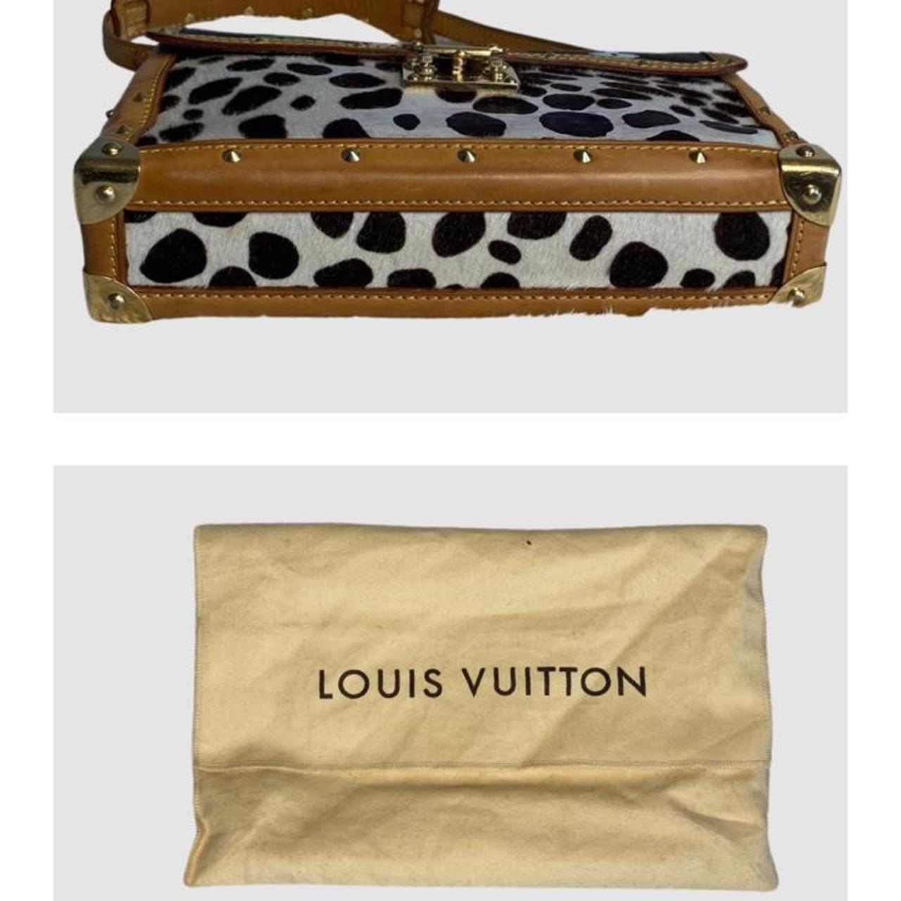 Louis Vuitton Multicolore Dalmatian Pochette - IMAGES