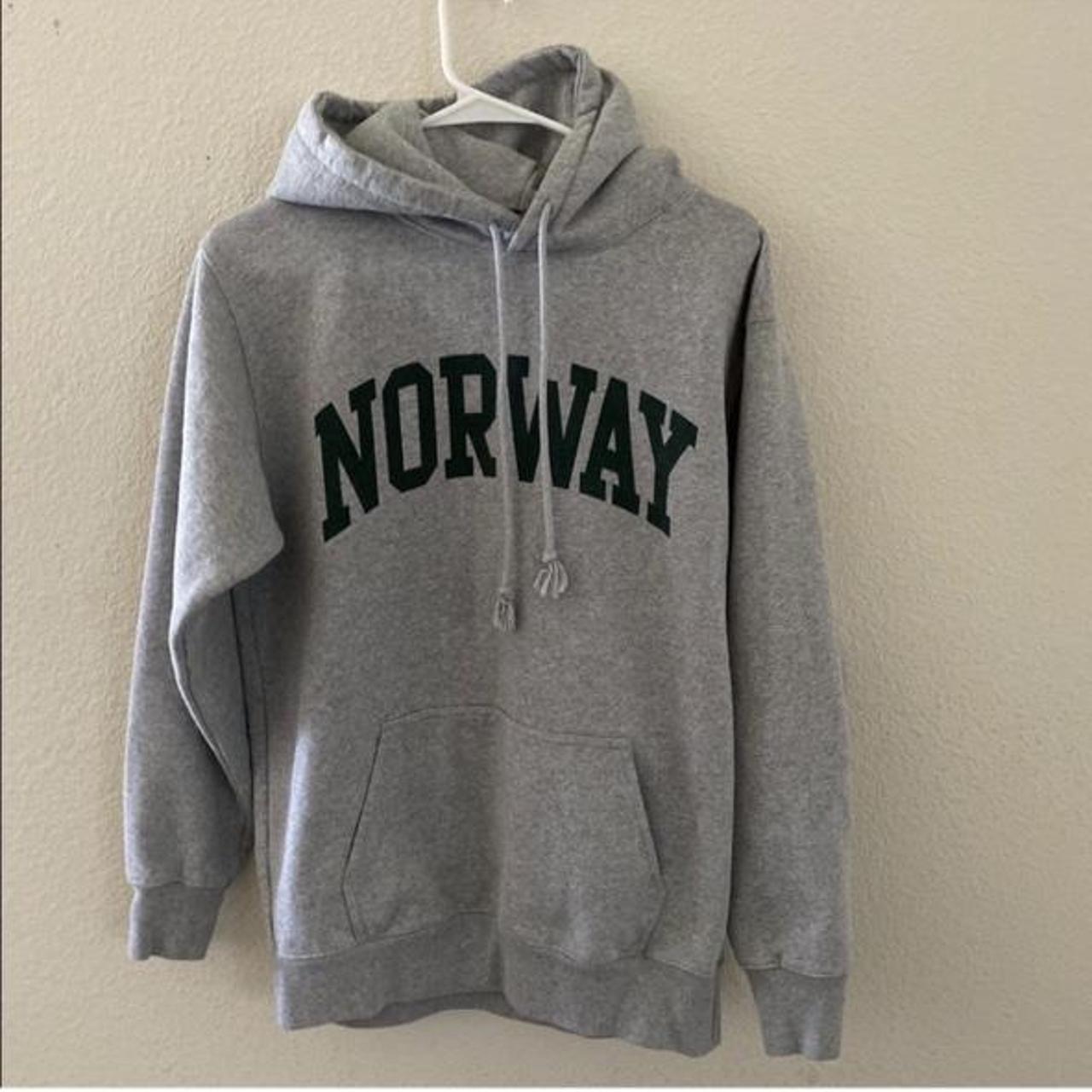 Brandy melville gray Christy Norway hoodie - Depop