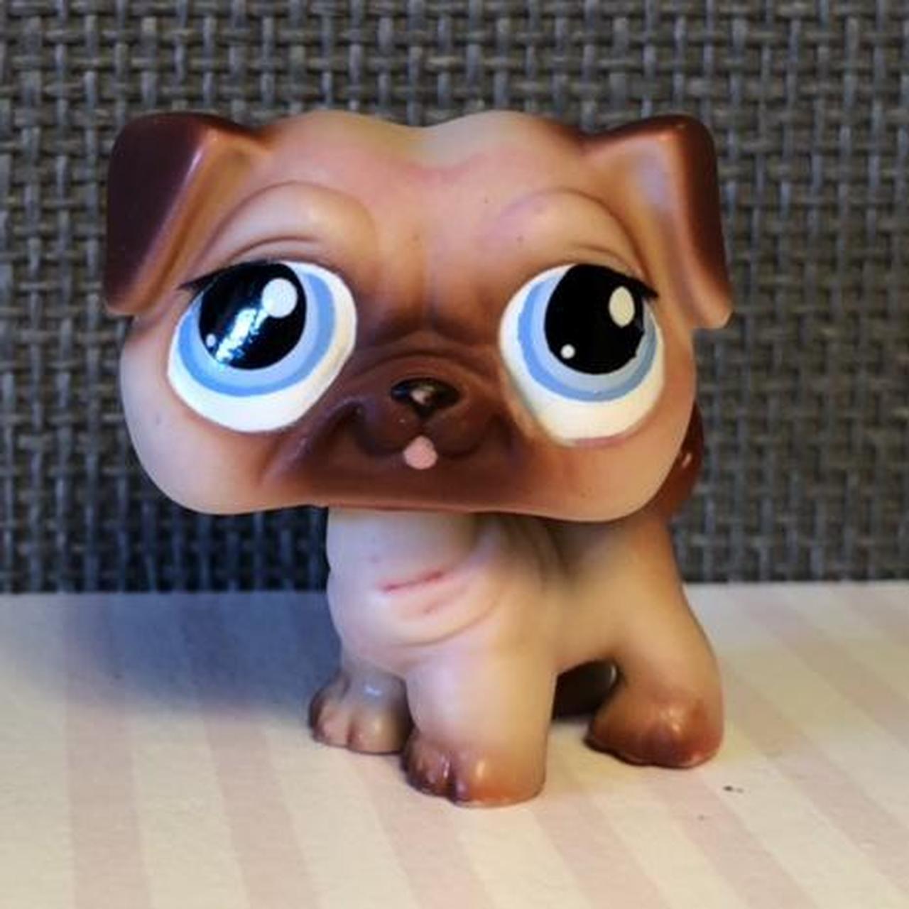 Littlest Pet Shop~#1312~Pug~Puppy Dog~Beige Brown~Blue Dot Eyes 