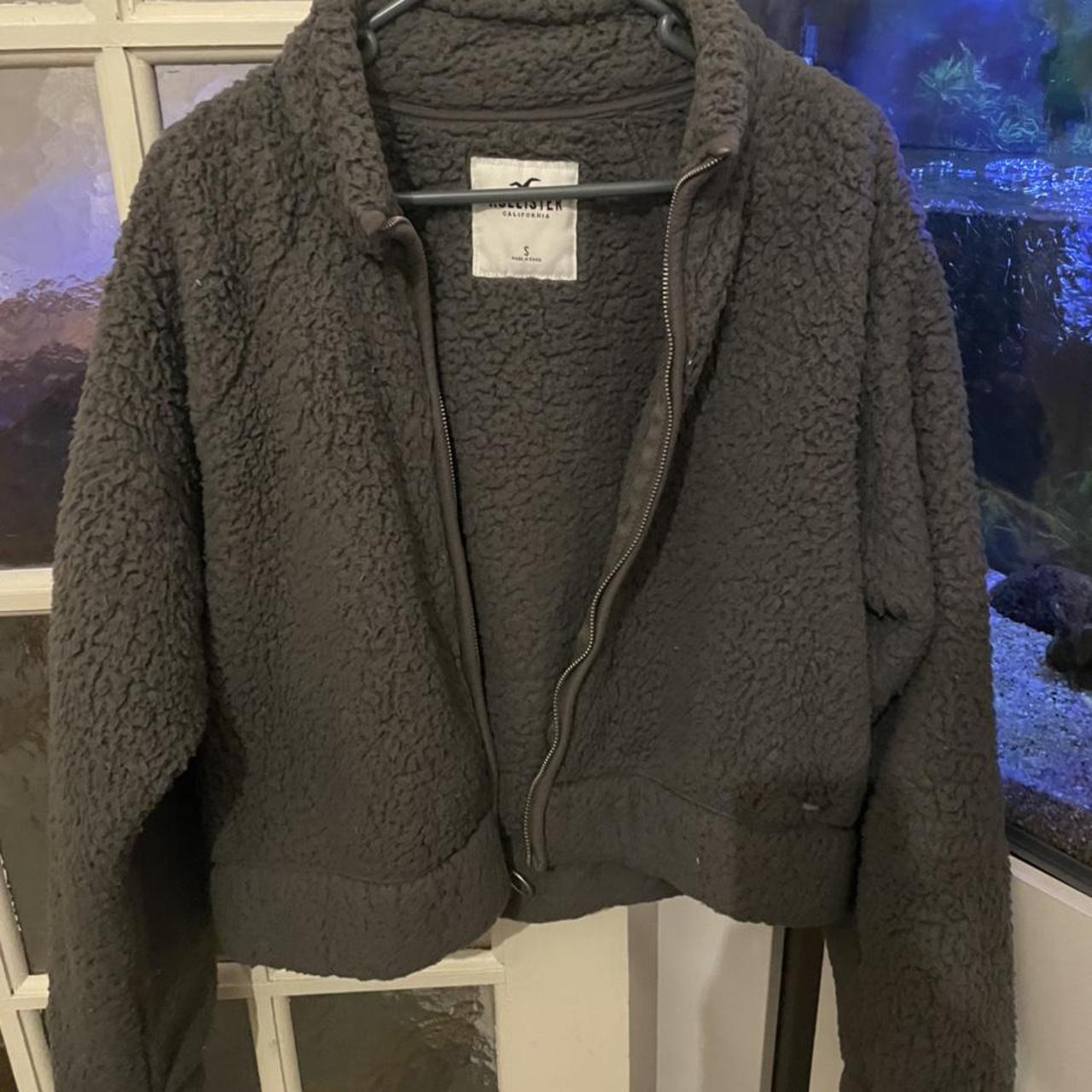 teddy bear jacket hollister