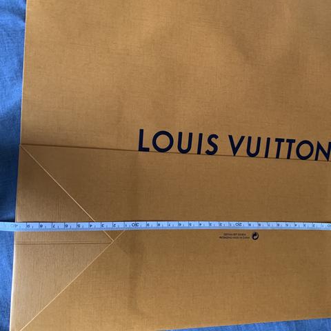 Authentic Louis Vuitton paper bag. Dimensions are: - Depop