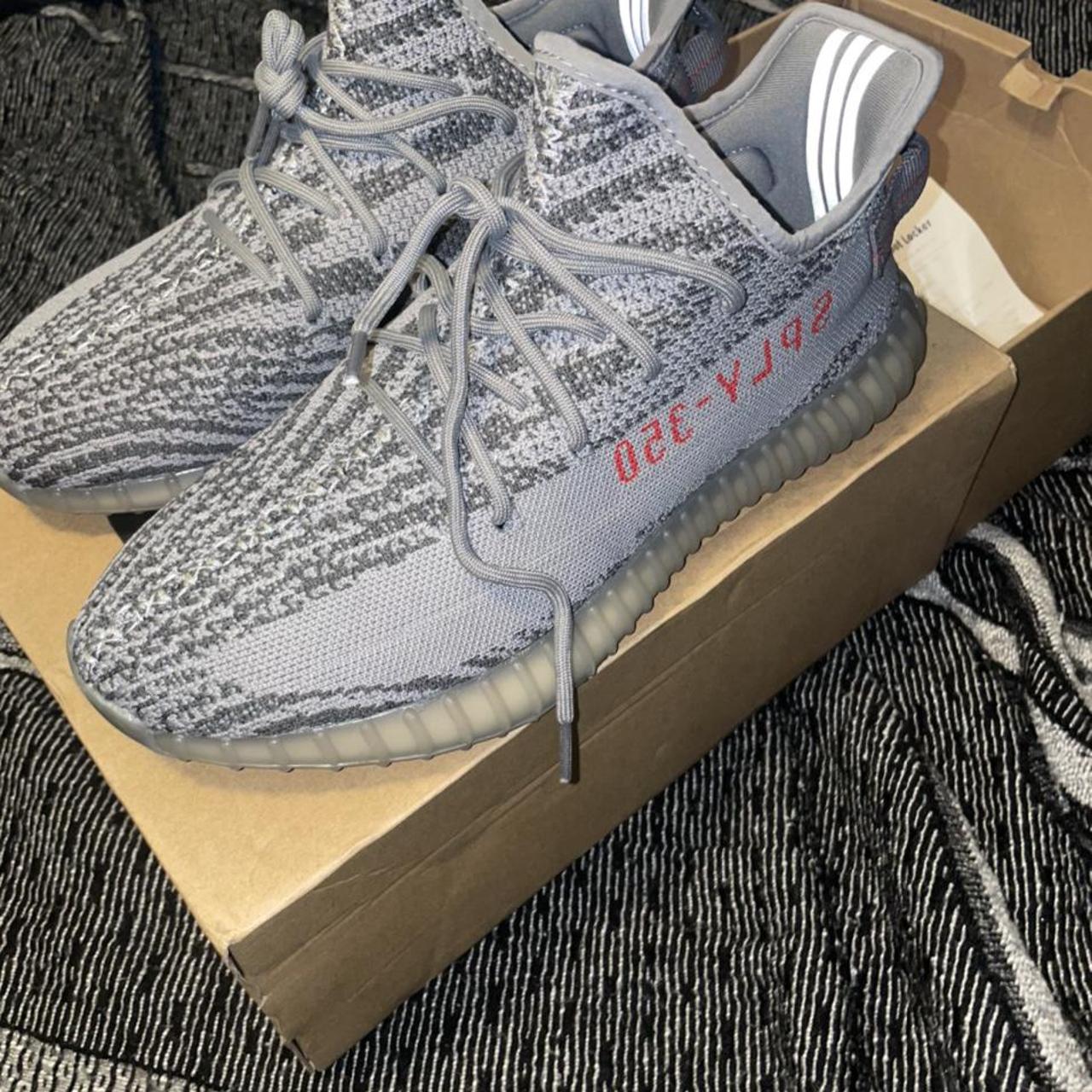 beluga 2.0 used