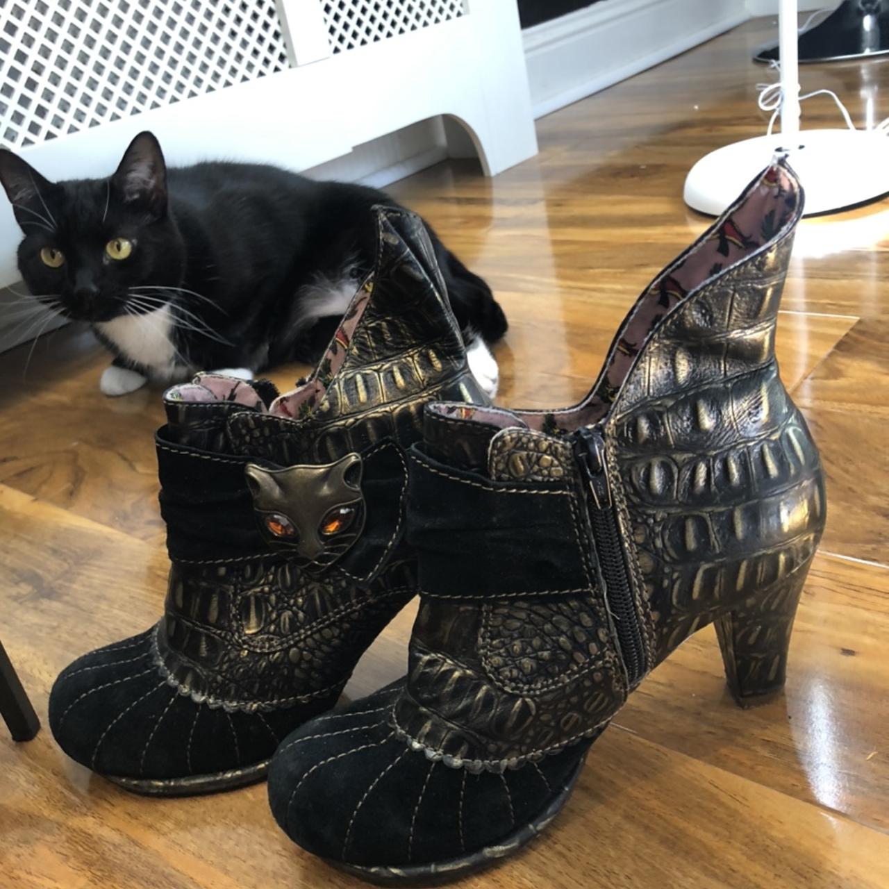 Irregular choice sale cat heels