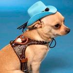 parysbbb's profile picture