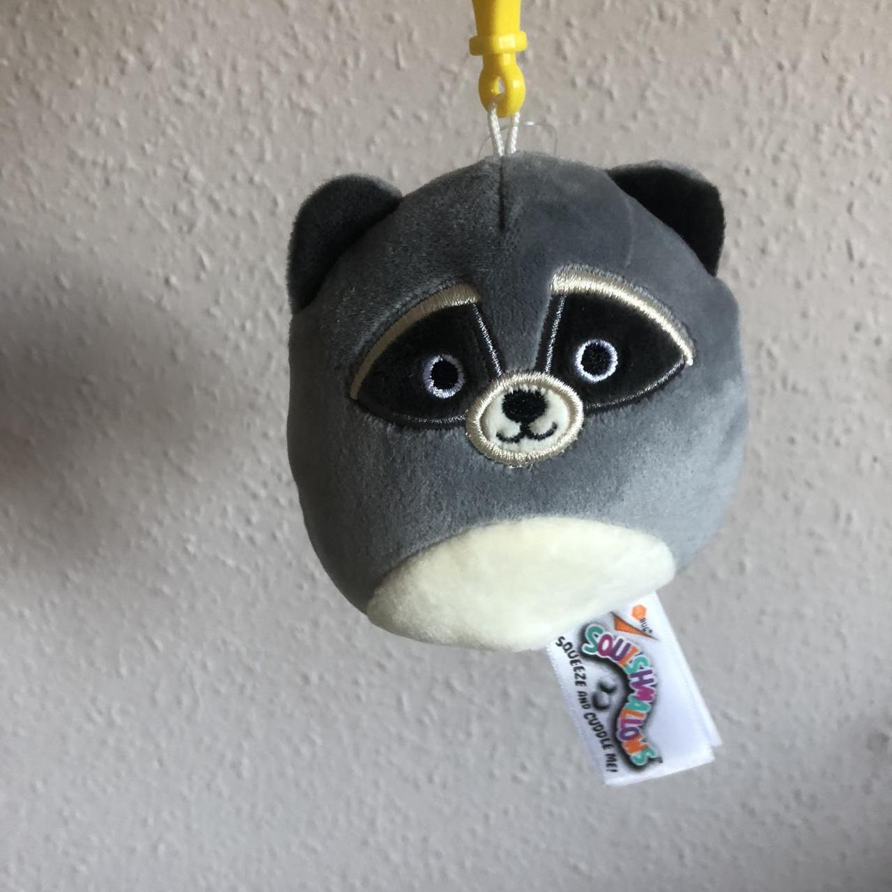 randy the raccoon squishmallow