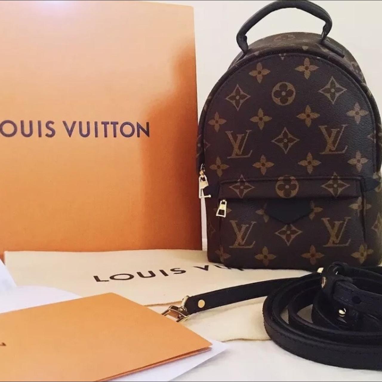 Louis Vuitton Palm Springs Mini Backpack ✓ 100% - Depop