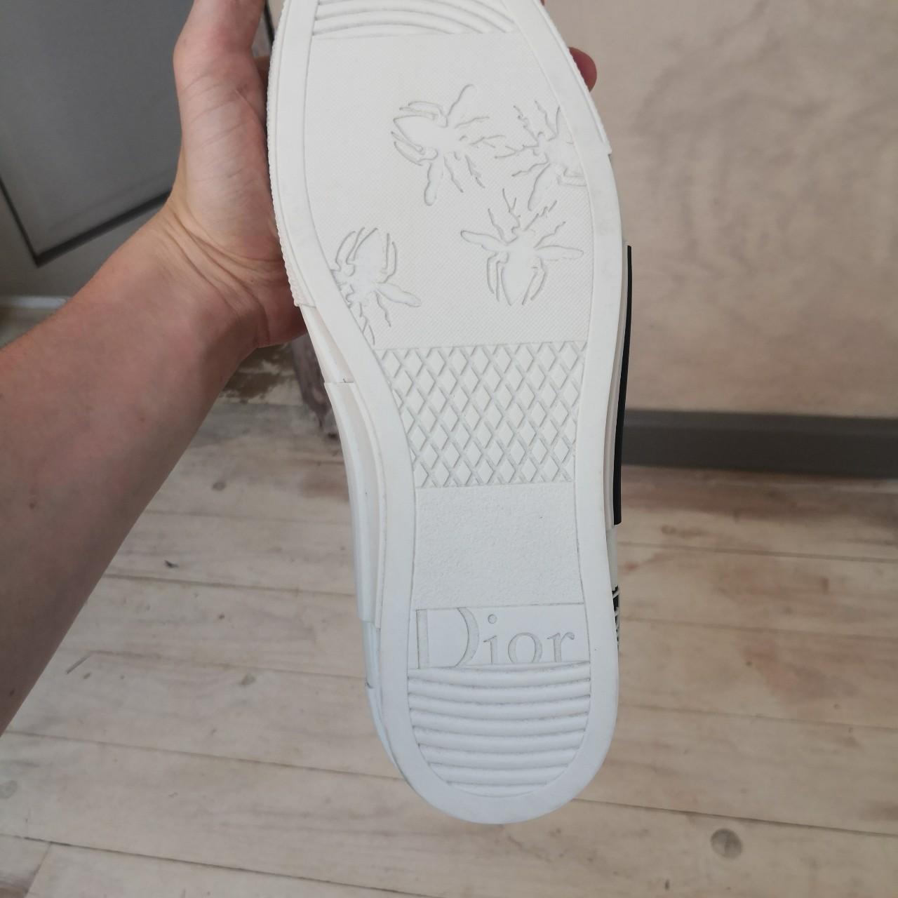 dior b23 high canvas sorayama dinosaur