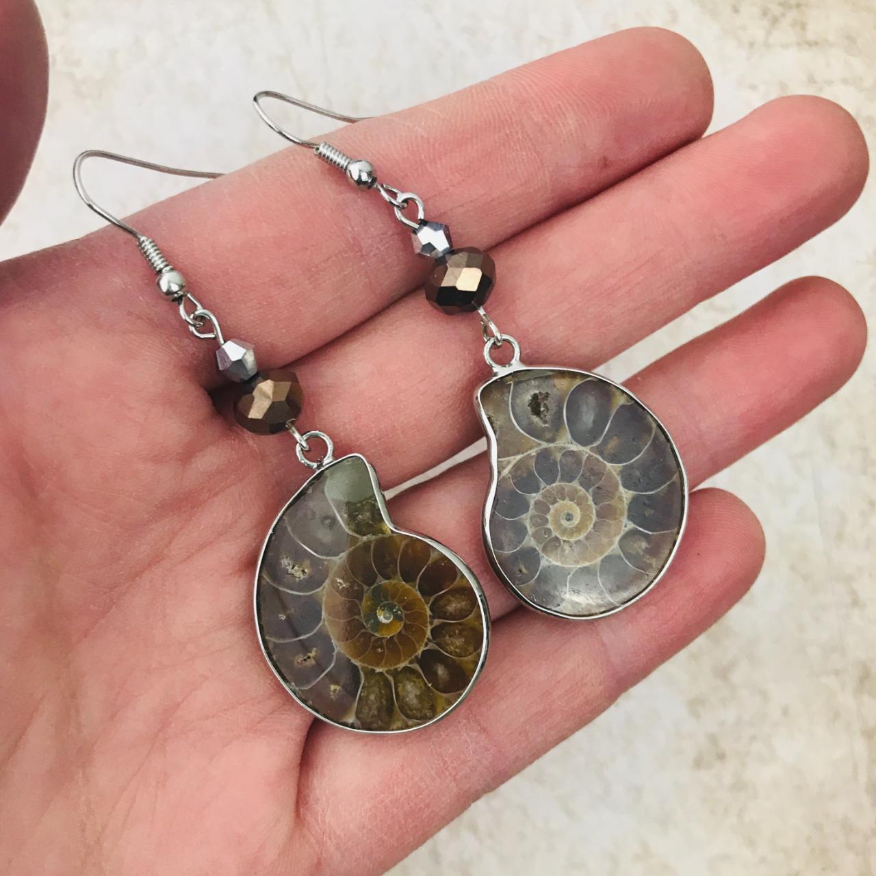 be-bold-and-strong-like-the-ammonite-fossil-genuine-depop