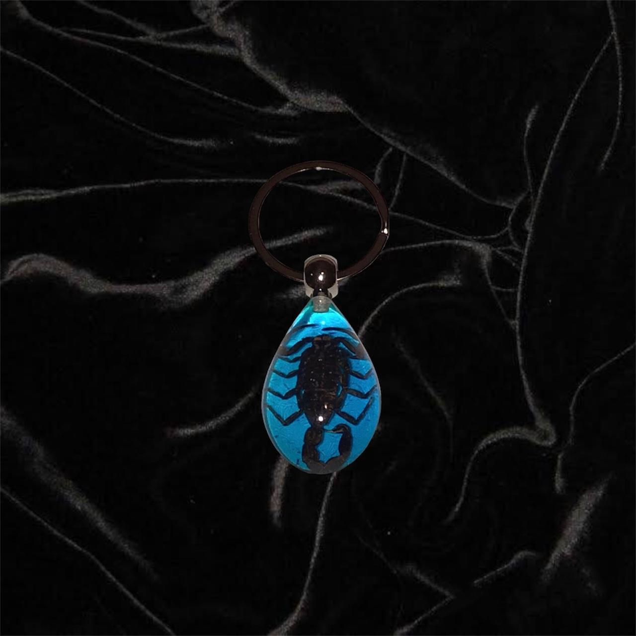 Women's Blue and Black Jewellery (3)