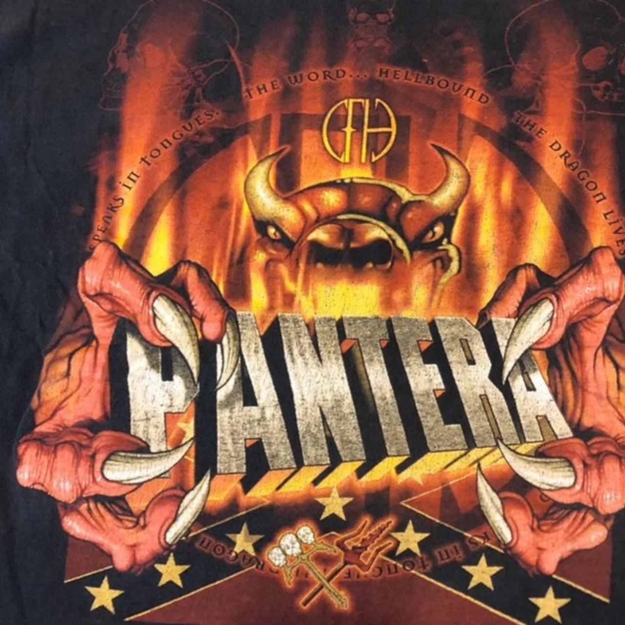 True Vintage Pantera 2000 T-shirt Brand Winterland.... - Depop