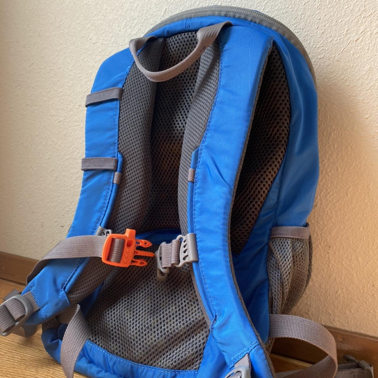Mini REI daypack blue Great for festivals, raves,... Depop