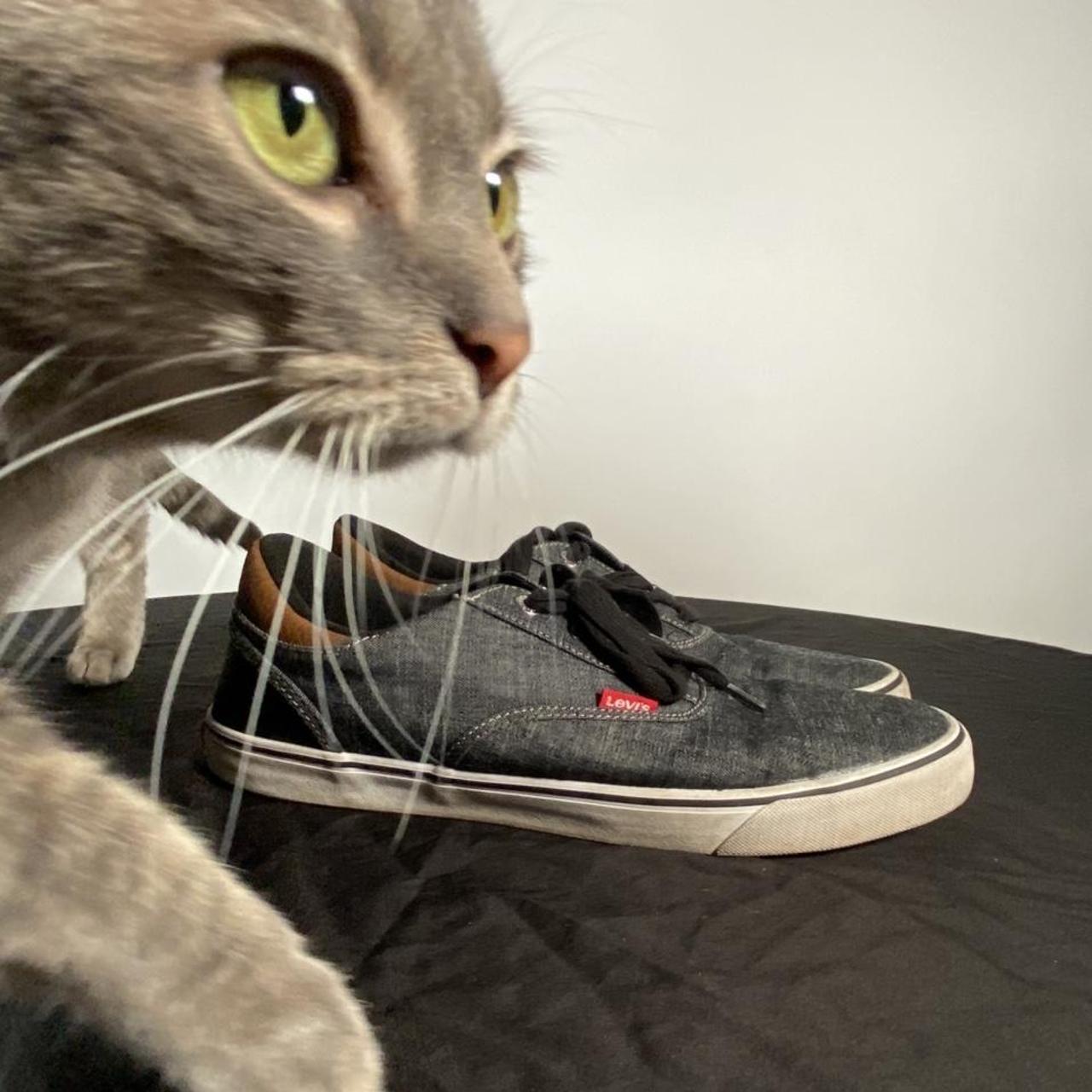 levi flatform trainers