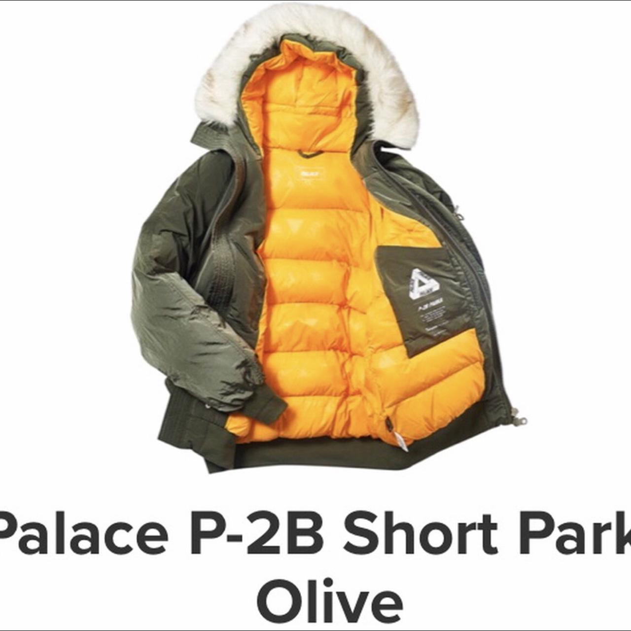 Palace coat, Palace P-2B Short parka olive, 10/10