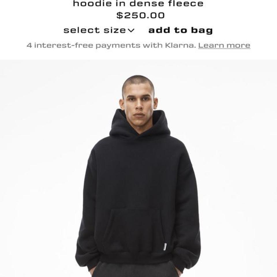 Alexander wang shop dense fleece hoodie