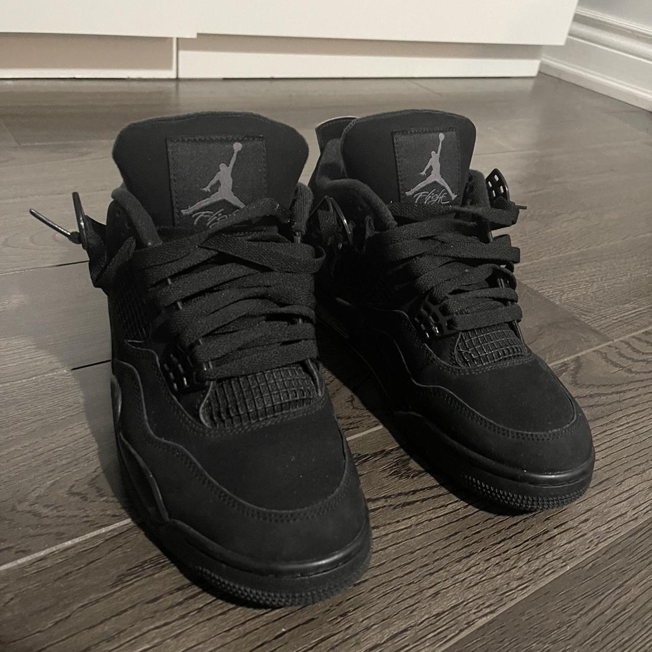 sail black cat bred 4