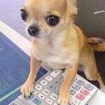 sophiapeacock's profile picture