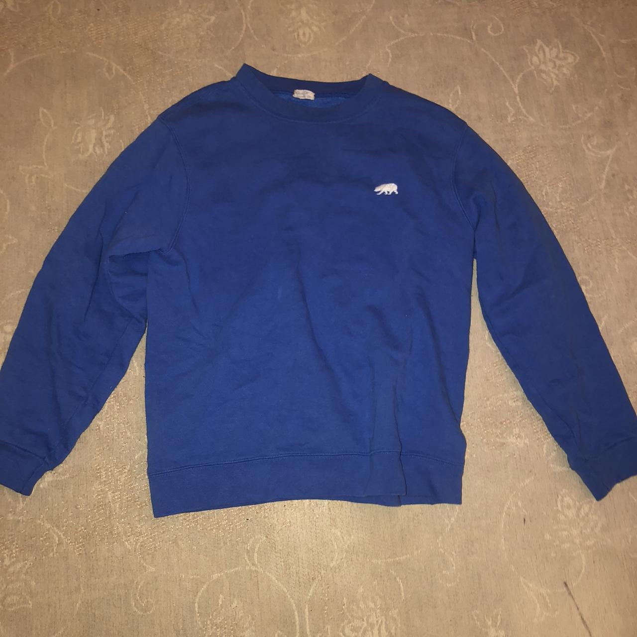 brandy Melville Blue polar bear sweatshirt only one... - Depop