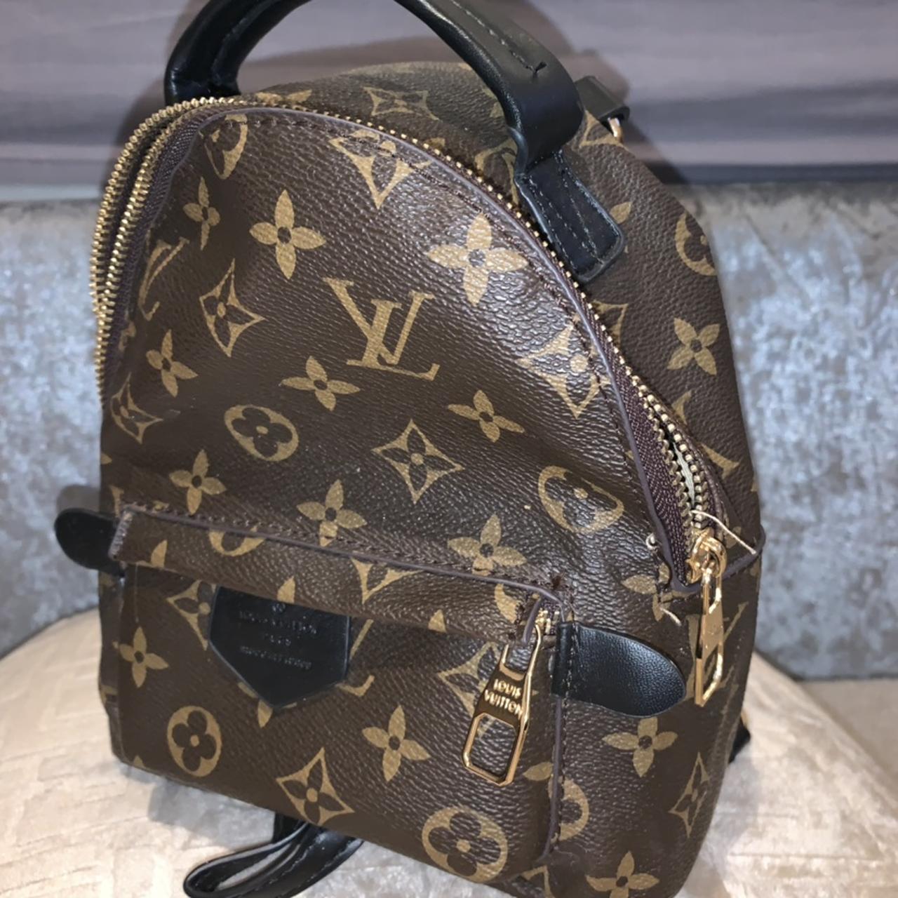 Louis Vuitton Palm Springs mini bag Signs of wear - Depop