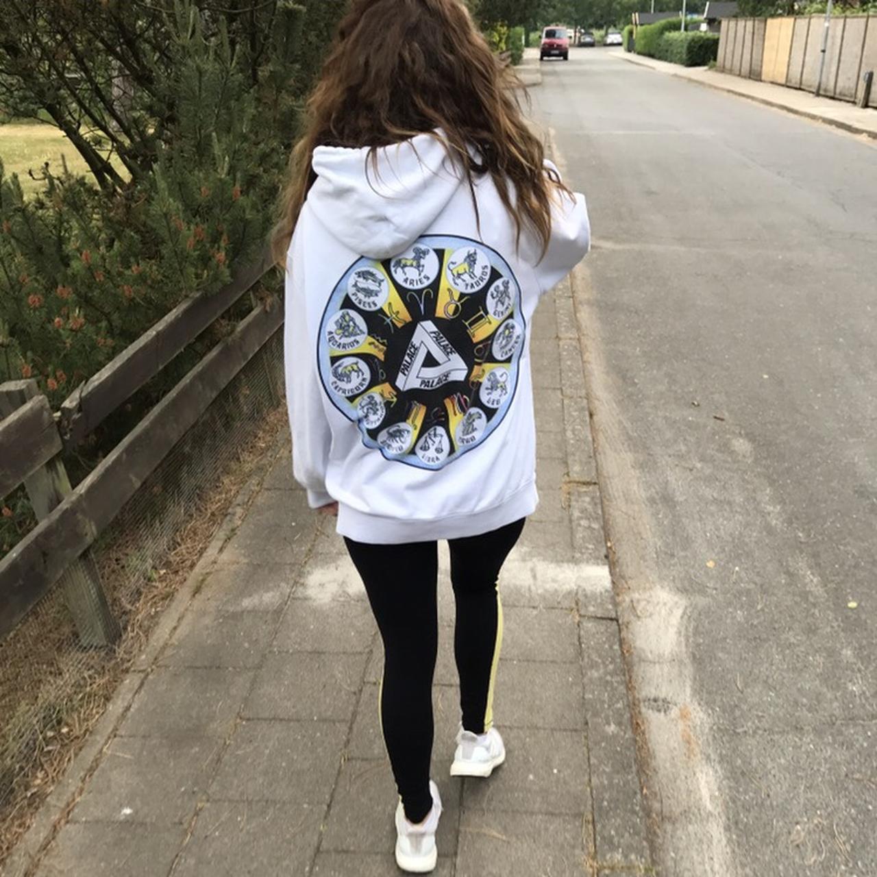 Palace on sale zodiac hoodie