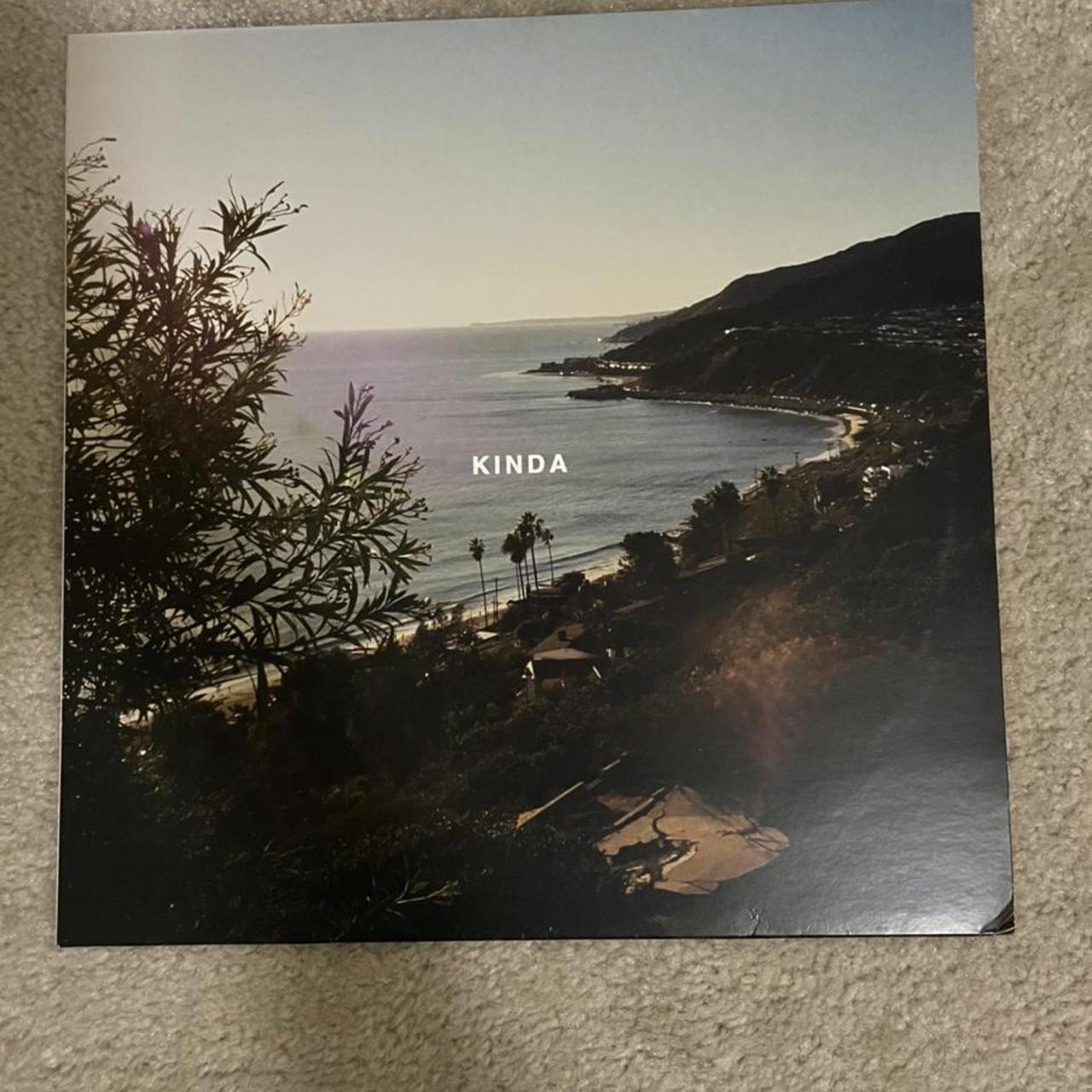 very exclusive lany kinda vinyl in good condition... - Depop