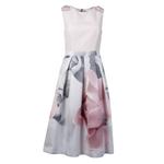 Ted baker store porcelain rose dress