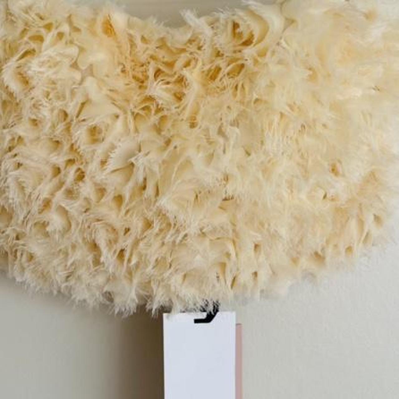 Zara cream limited edition floral crop top (Size S... Depop