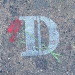 daninatera's profile picture