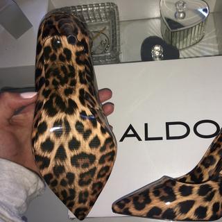 Leopard deals shoes aldo