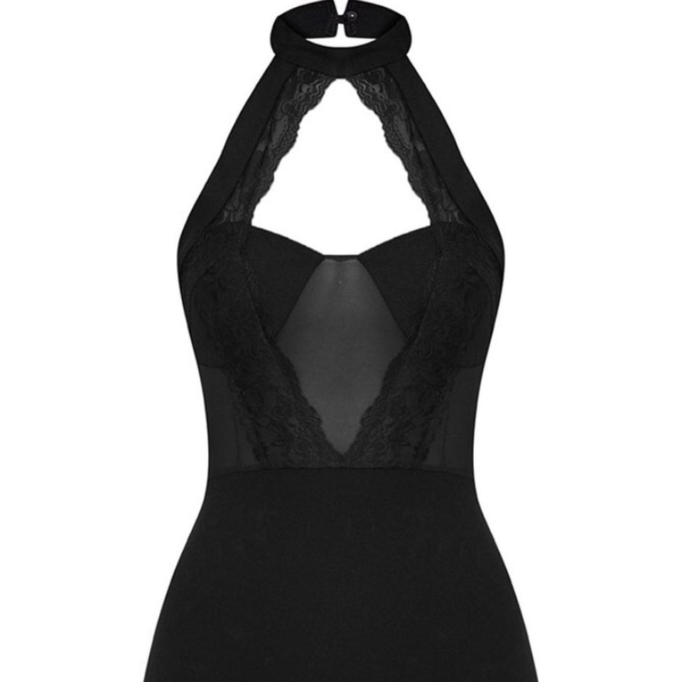 Black Lace Trim High Neck Sheer Top Bodycon Dress
