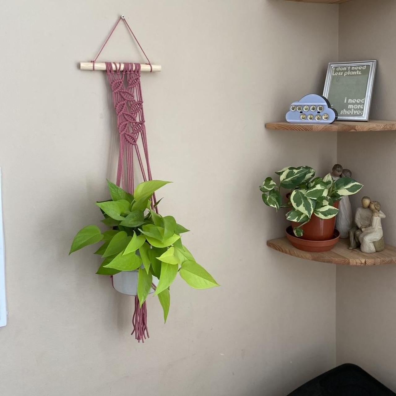 Blossom pink plant hanger, wall hanging plant... Depop