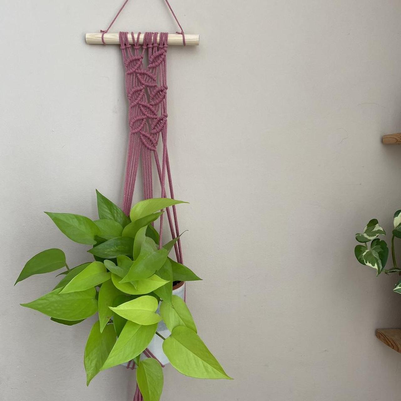 Blossom pink plant hanger, wall hanging plant... Depop