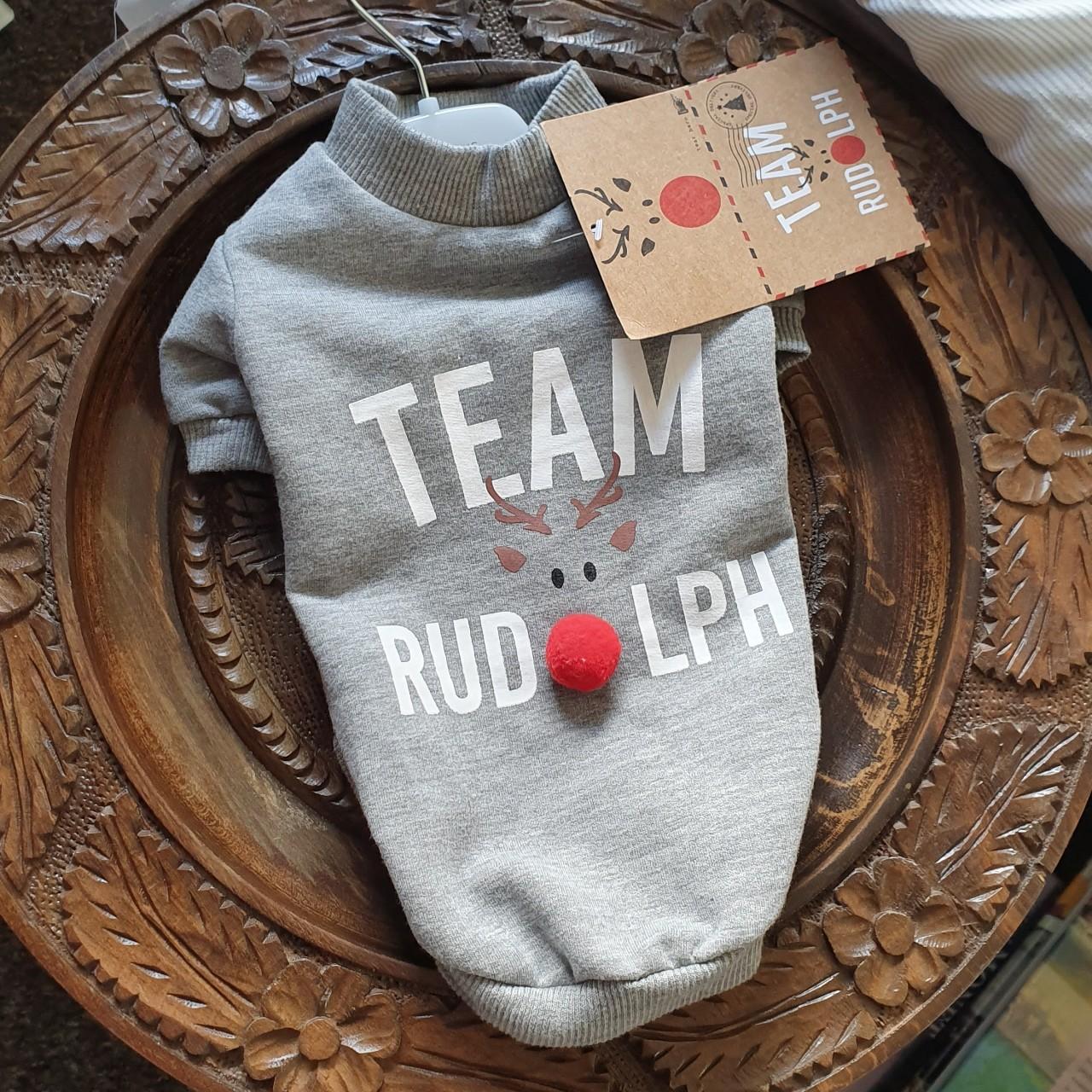 Team rudolph christmas on sale jumper