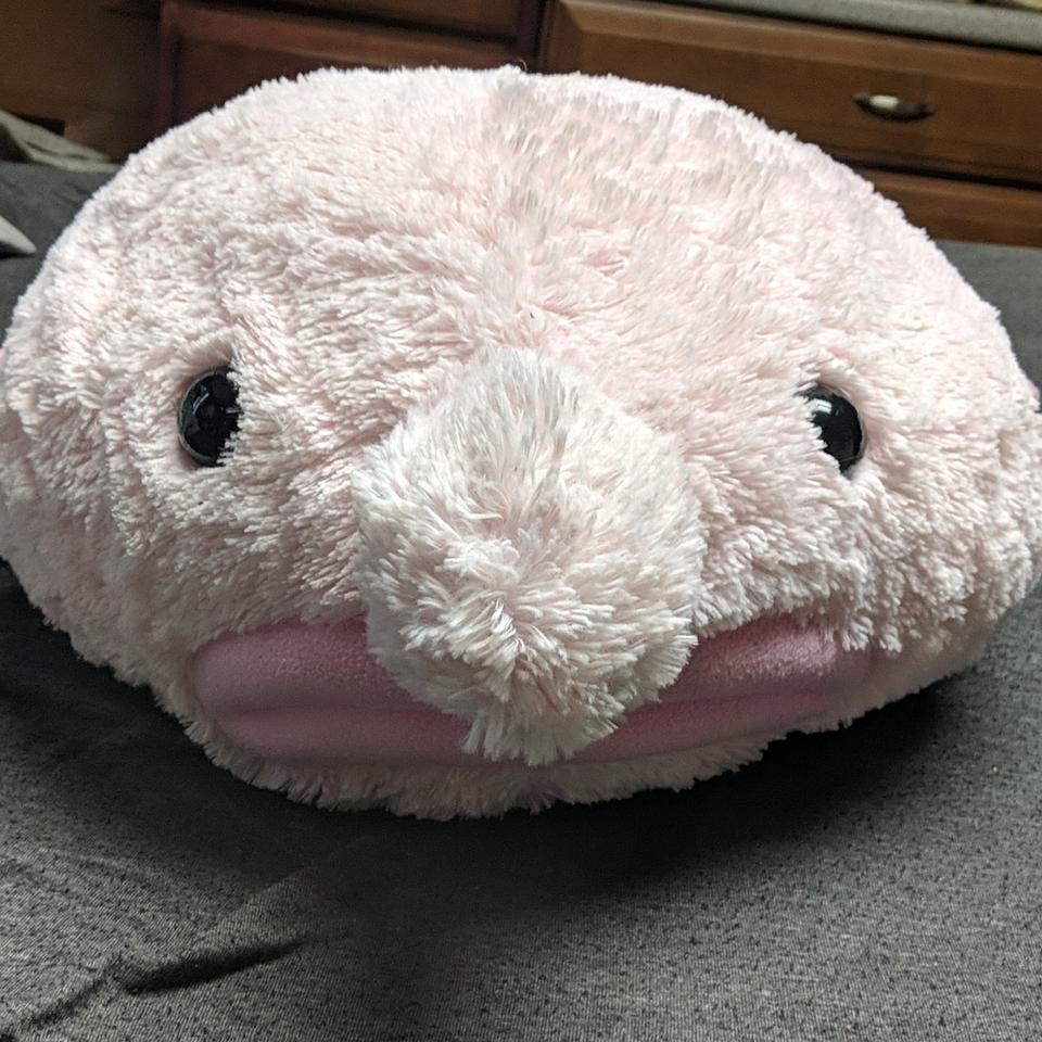 Giant blobfish clearance plush