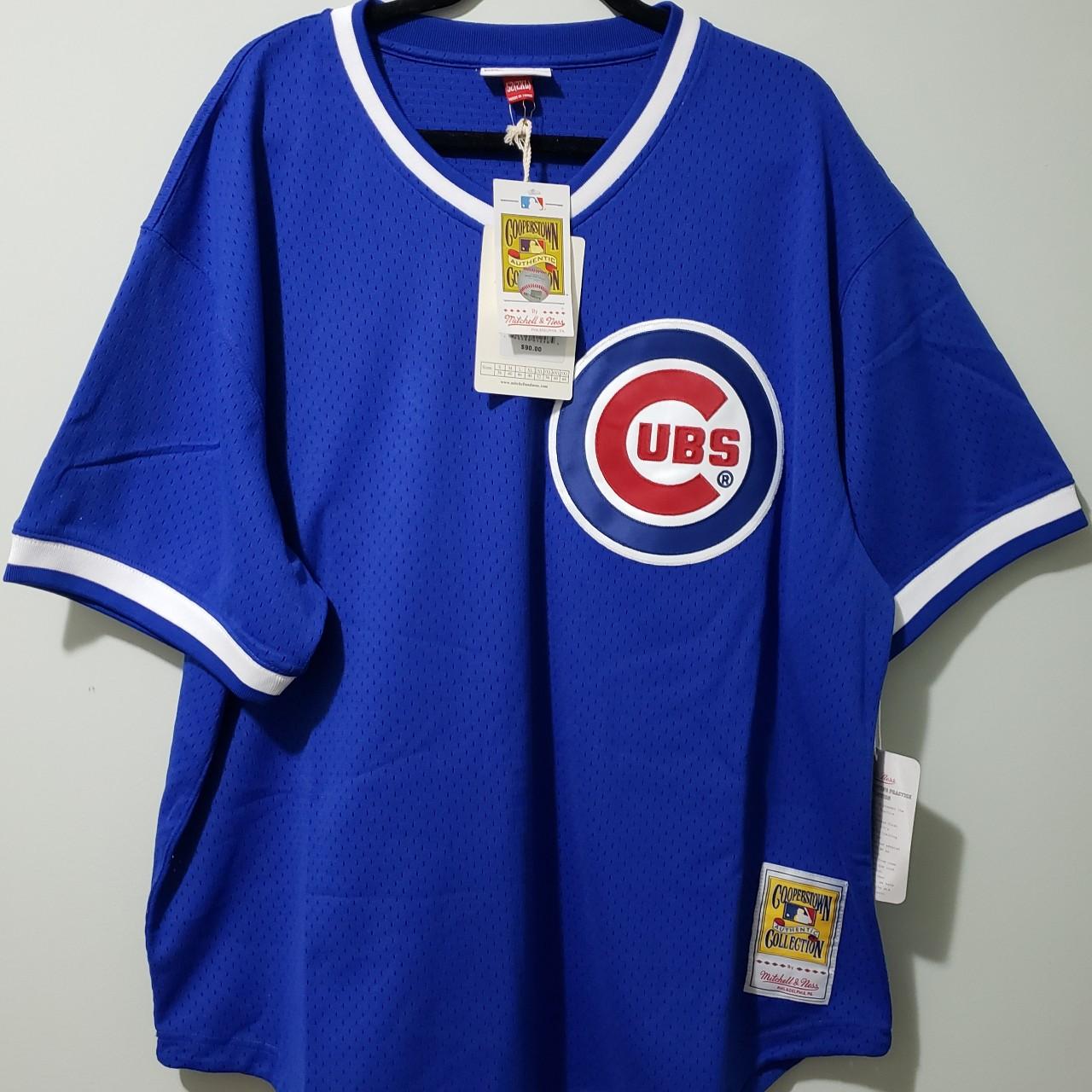 Mitchell & Ness Ryne Sandberg Chicago Cubs Jersey - Depop