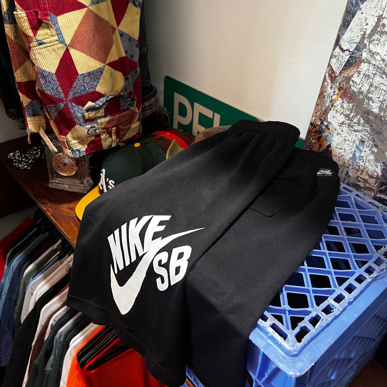 nike sb dry shorts