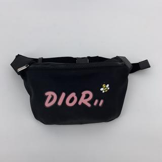 dior kaws fanny pack