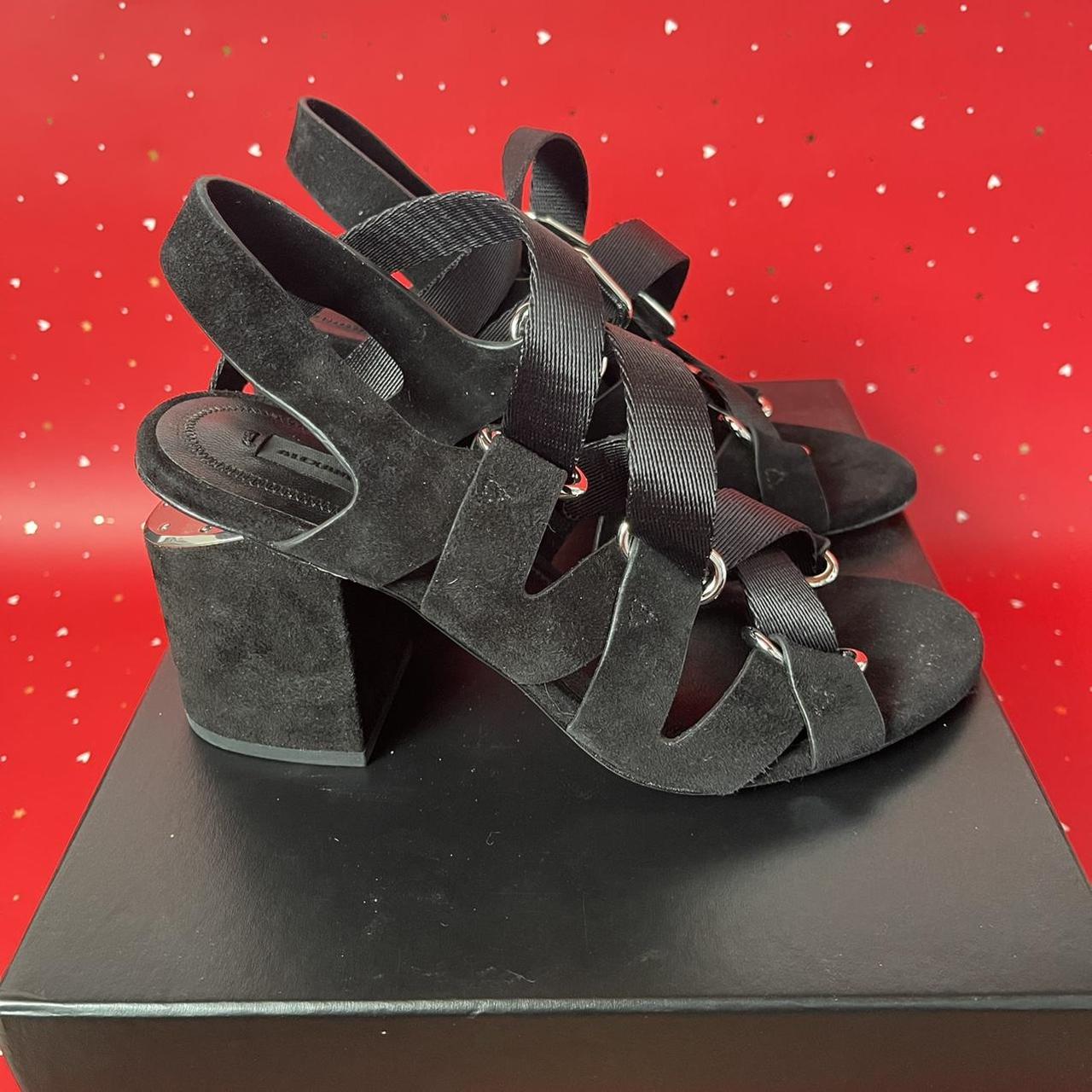 Alexander Wang Designer Shoe Box with Dust Bag  - Depop