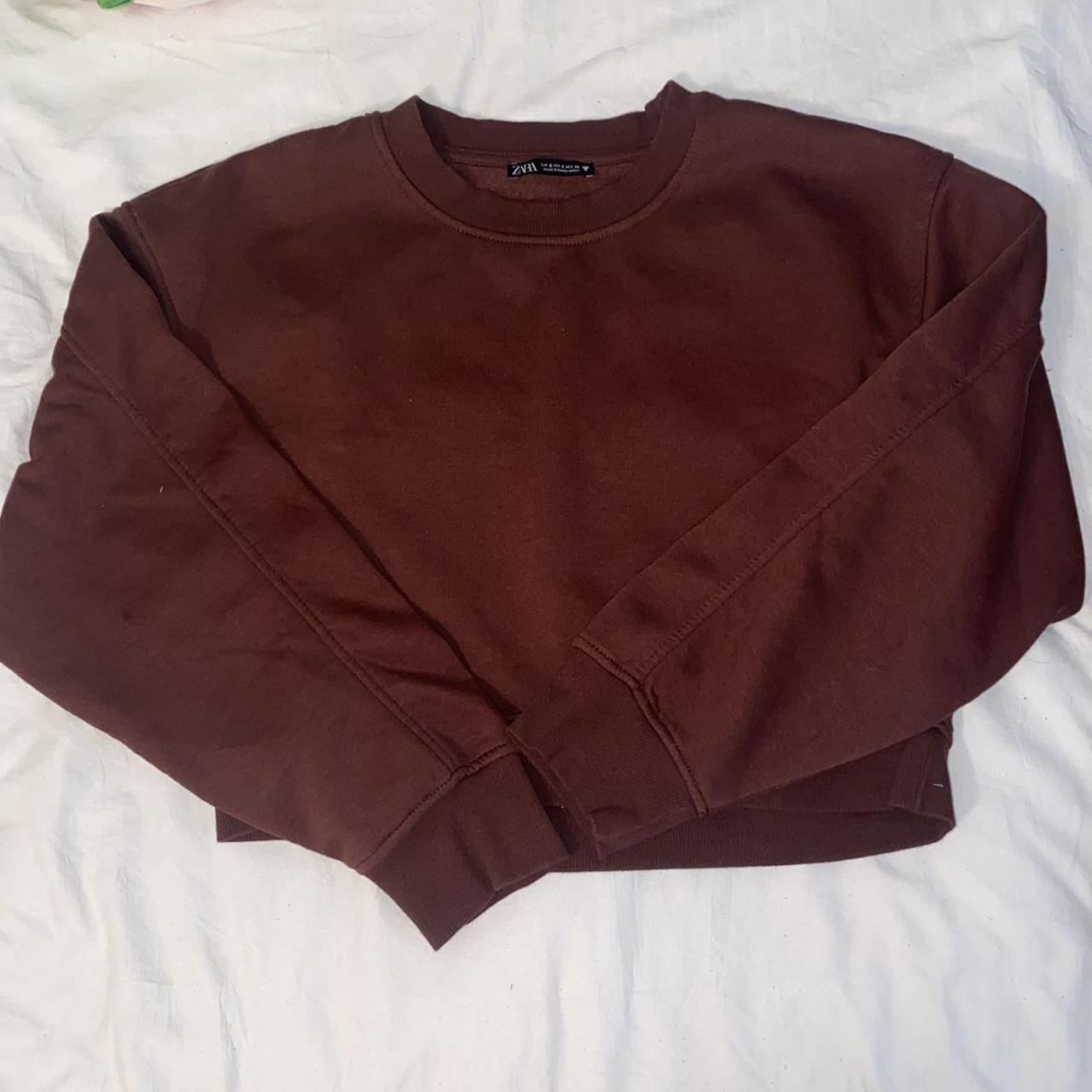 zara brown cropped sweatshirt