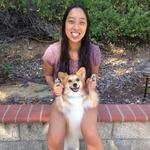 agwong's profile picture
