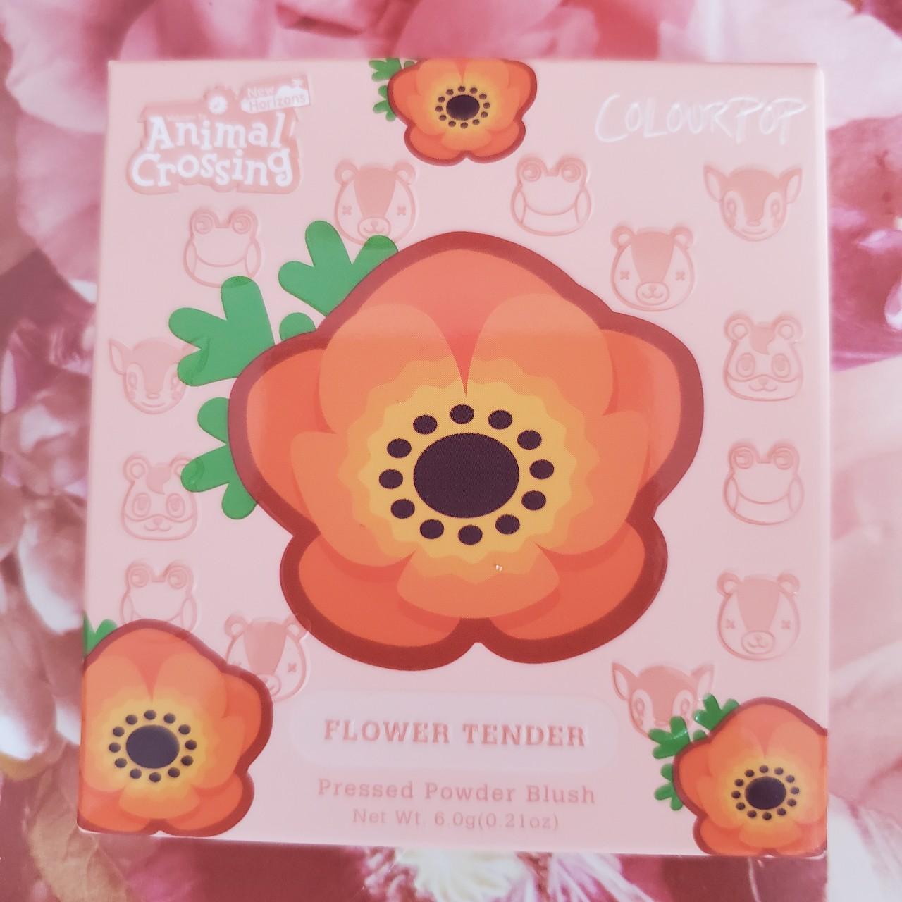 Makeup Sets Colourpop And Animal Crossing Colourpop Makeup