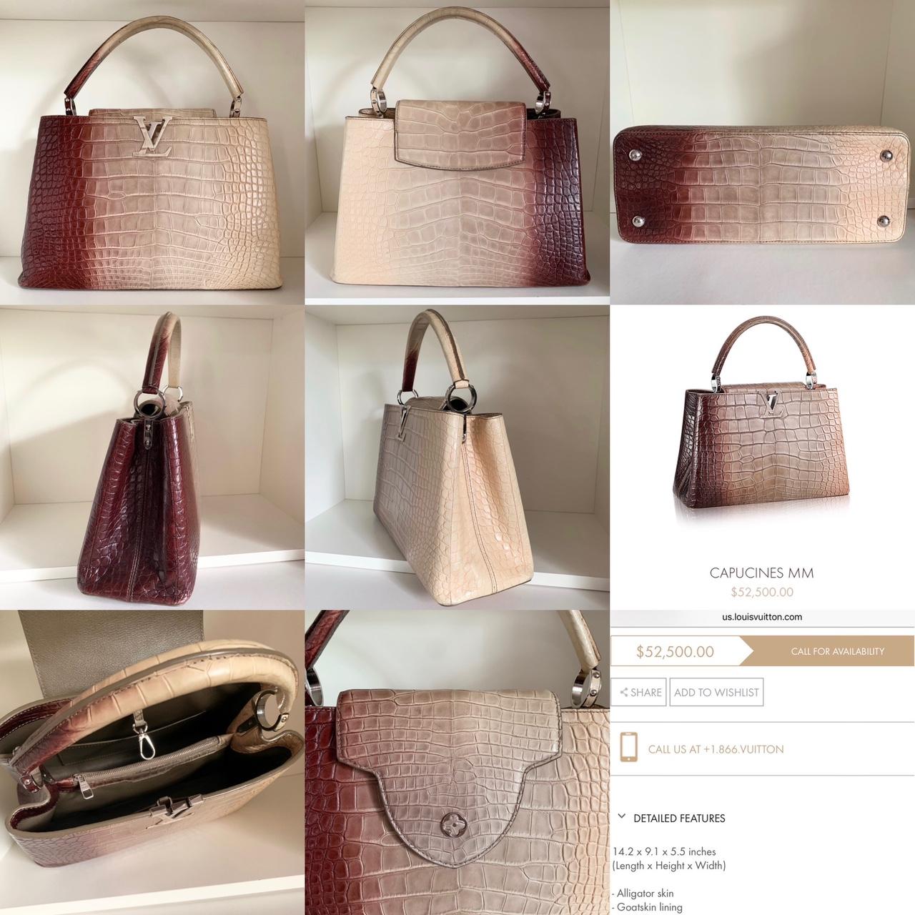 Shop Louis Vuitton CAPUCINES Women's Brown Bags