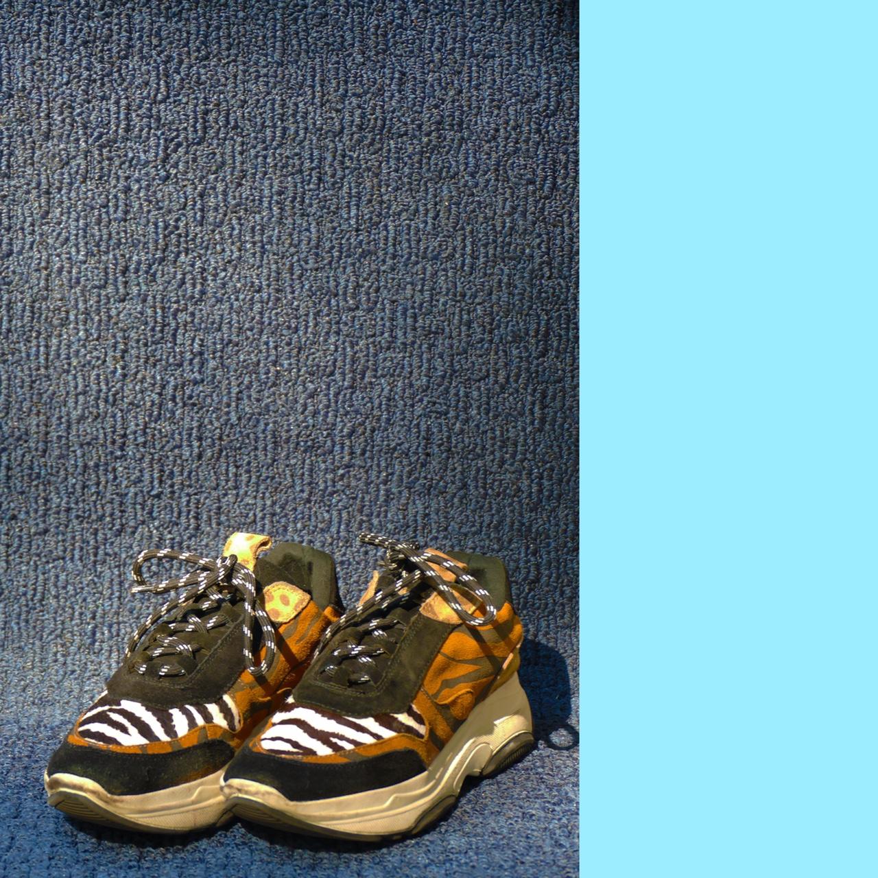 steve madden tiger shoes