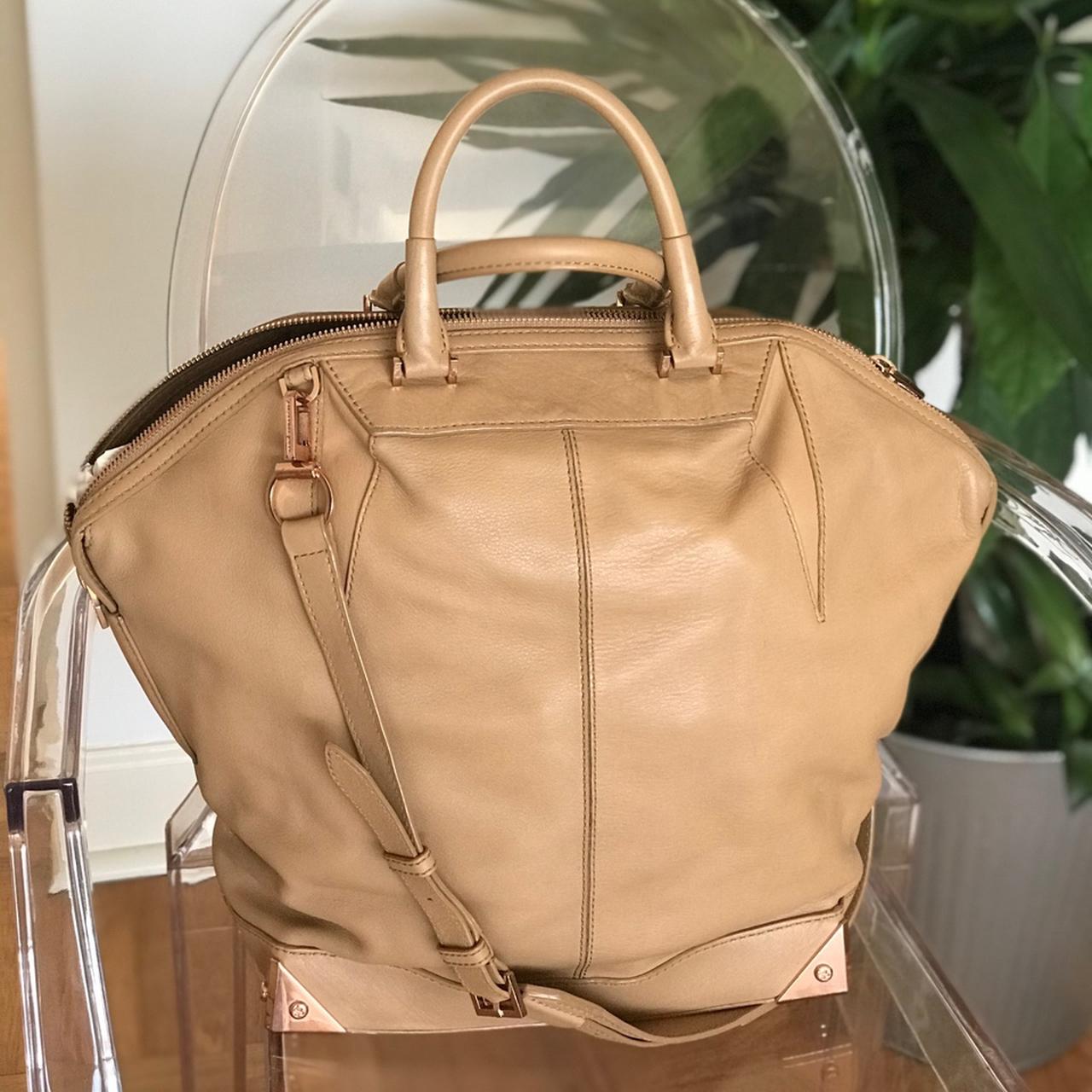 Alexander Wang hotsell Emile bag