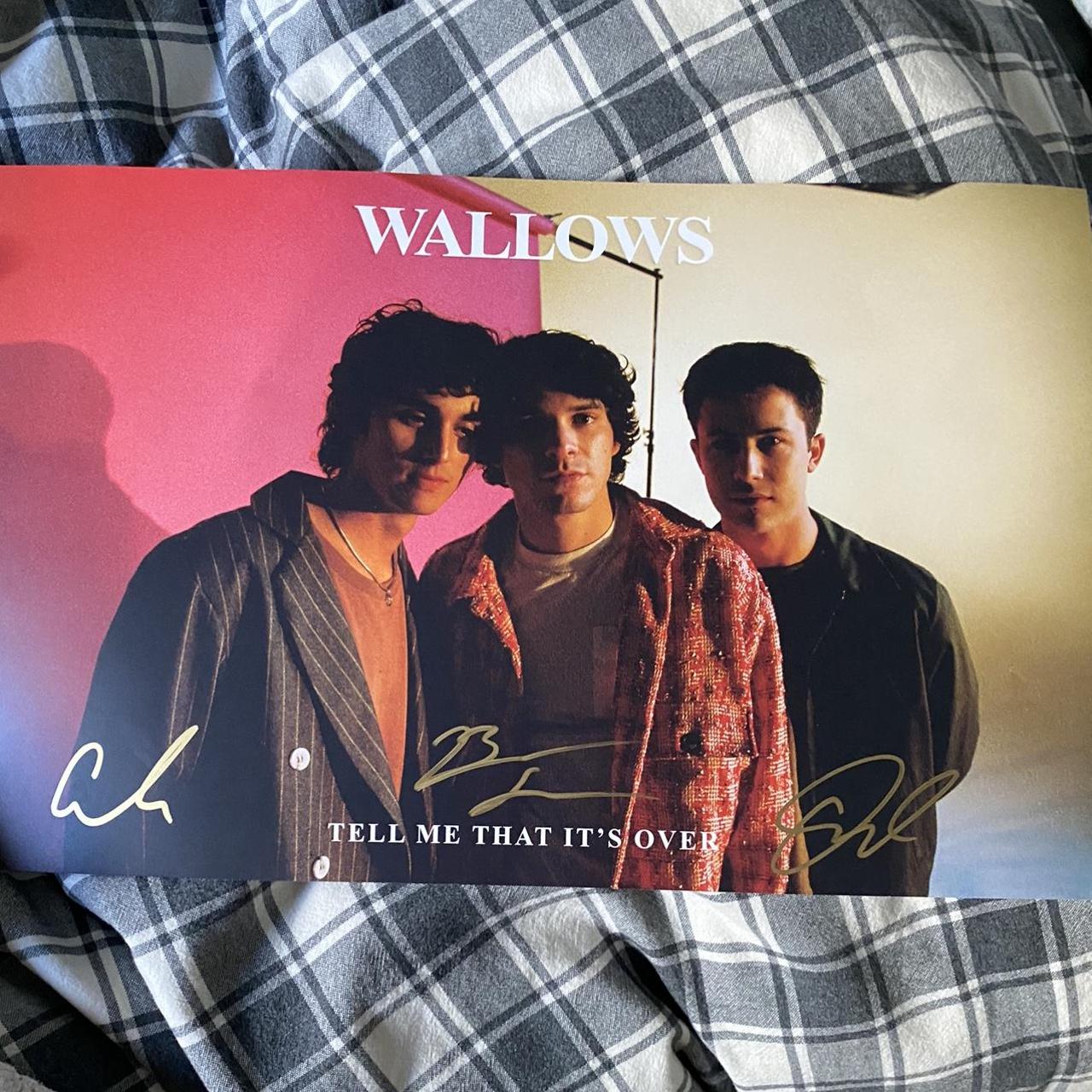 wallows vip tour poster! was kept in pristine… - Depop