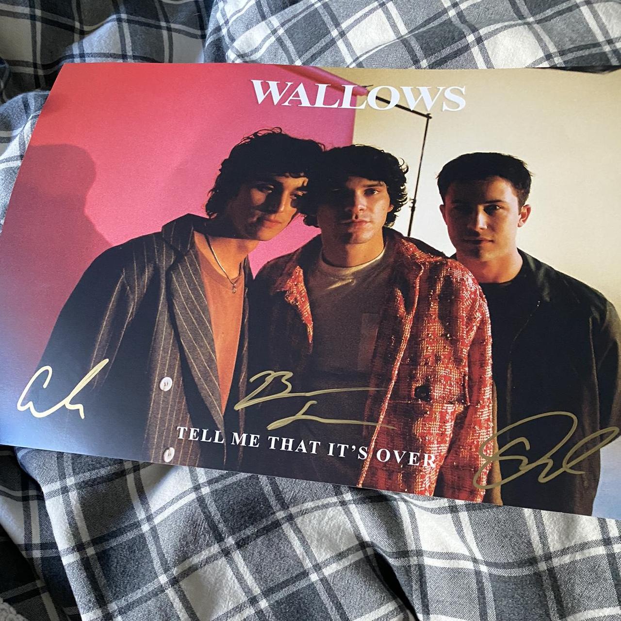 wallows vip tour poster! was kept in pristine… - Depop