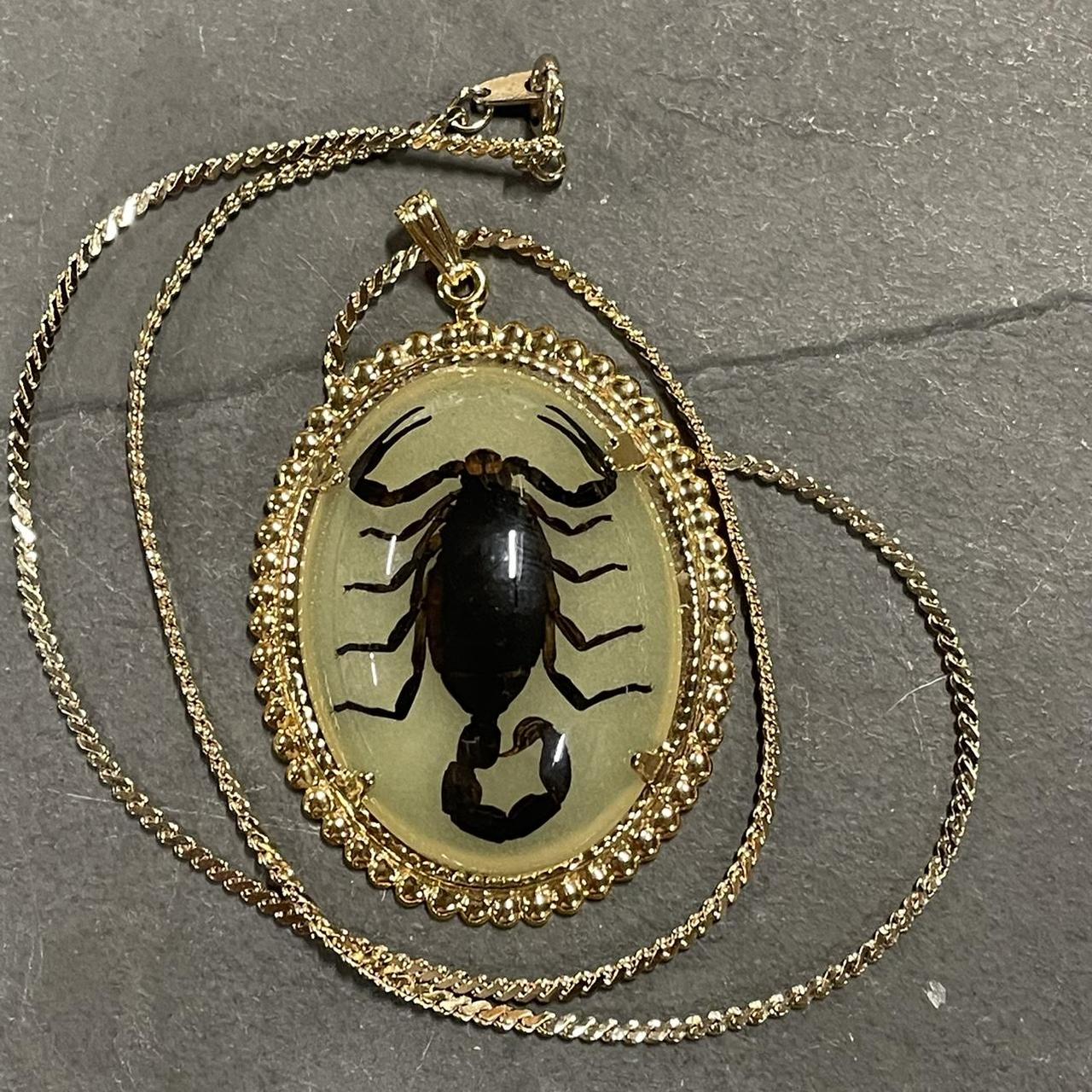 New! Real INSECT Brown SCORPION NECKLACE Teardrop Jewelry CLEAR PENDANT -  La Paz County Sheriff's Office 