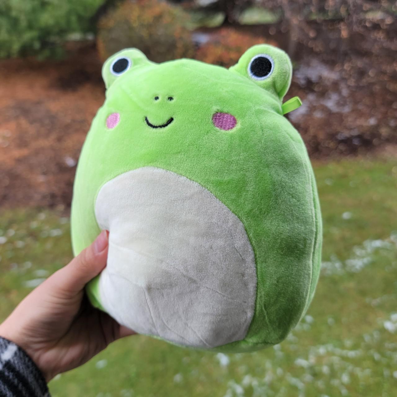 BNWT 7 WENDY SQUISHMALLOW Wendy the frog - Depop