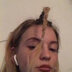 myogei's profile picture