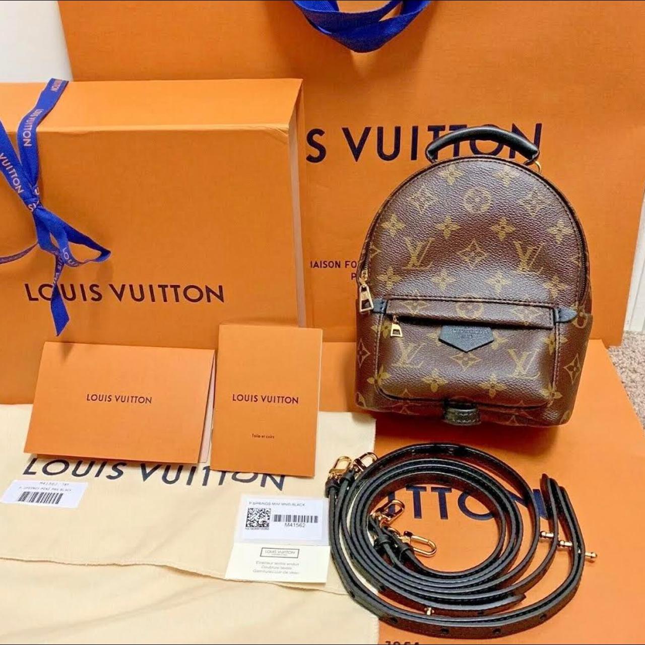 Louis Vuitton Palm Springs mini backpack in monogram - Depop